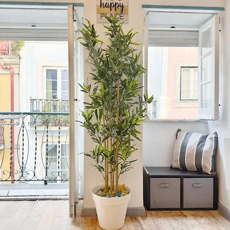 Lägenhet Bellarosa Flat In Bairro Alto By Homeful Homes